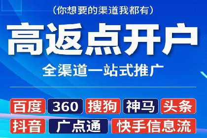 某公司SEM推广的失败教训与成功经验